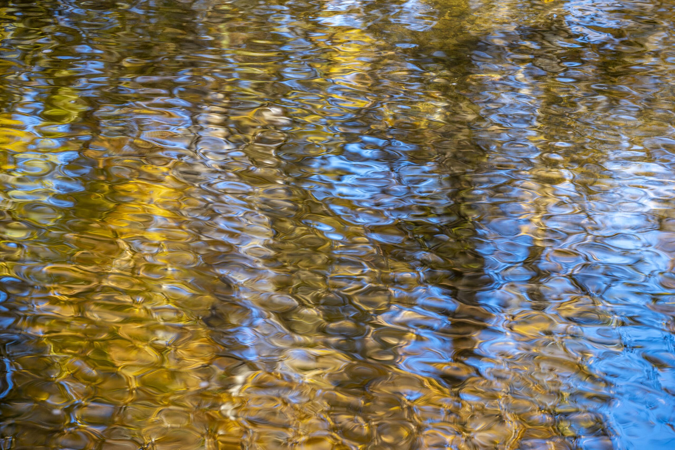 fall reflections in a creek