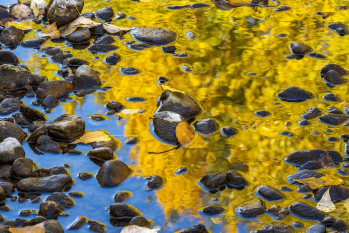 fall reflections in a creek with rocks