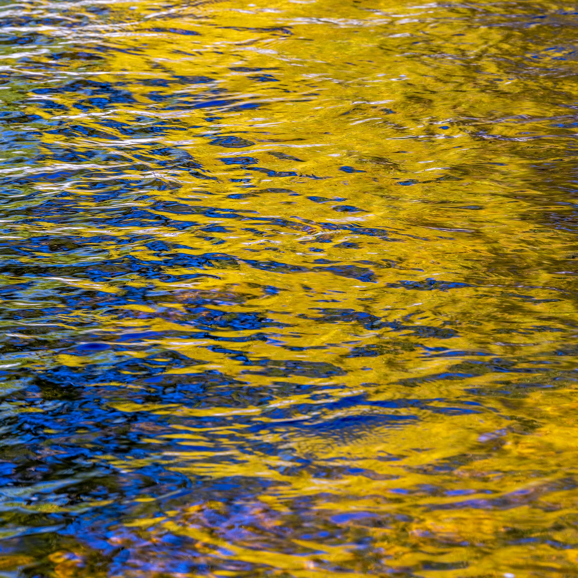 fall tree reflections on a river full of ripples