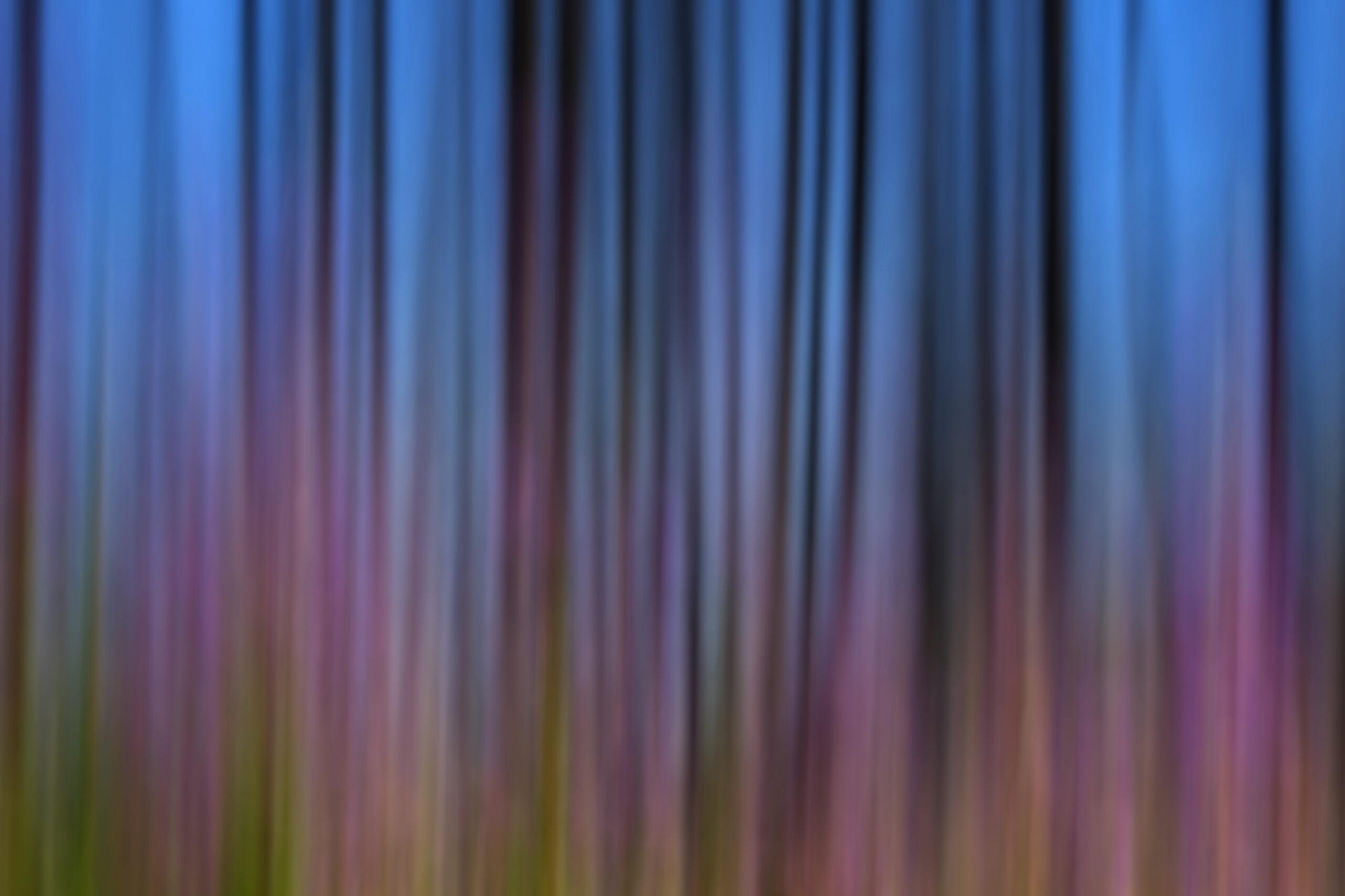 nature abstract with blurred flowers and trees