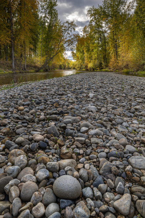 a rocky creek bed in the fall